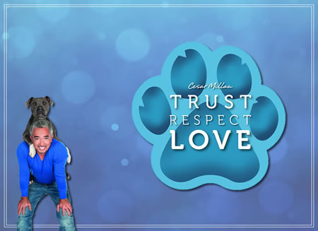 TRUST RESECT LOVE - Fridge Magnet