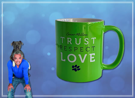 TRUST-RESPECT-LOVE - Green Mug